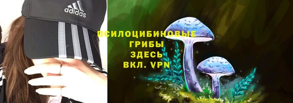 бошки Аркадак