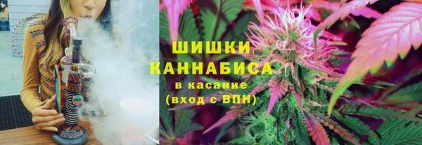 бошки Аркадак